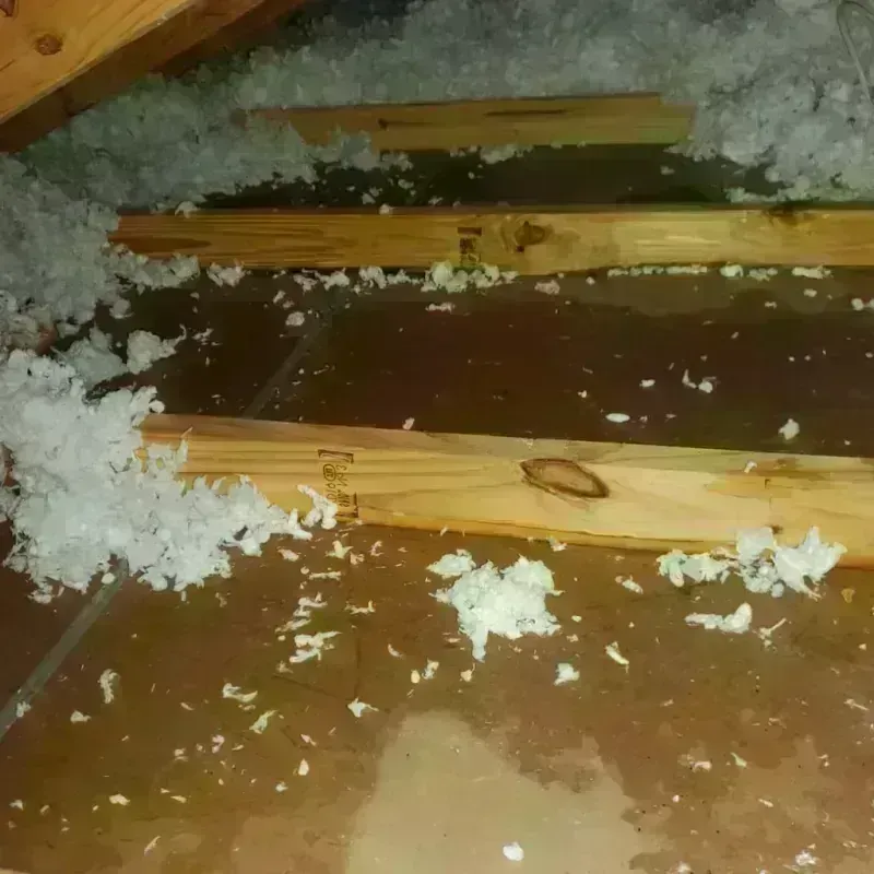 Attic Water Damage in Shelby, NC