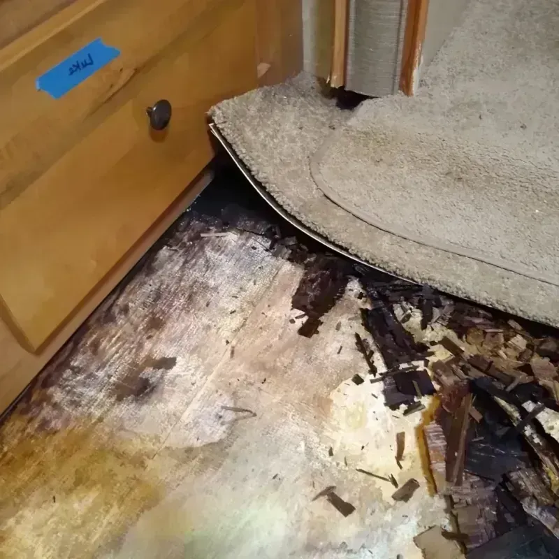 Best Wood Floor Water Damage Service in Shelby, NC